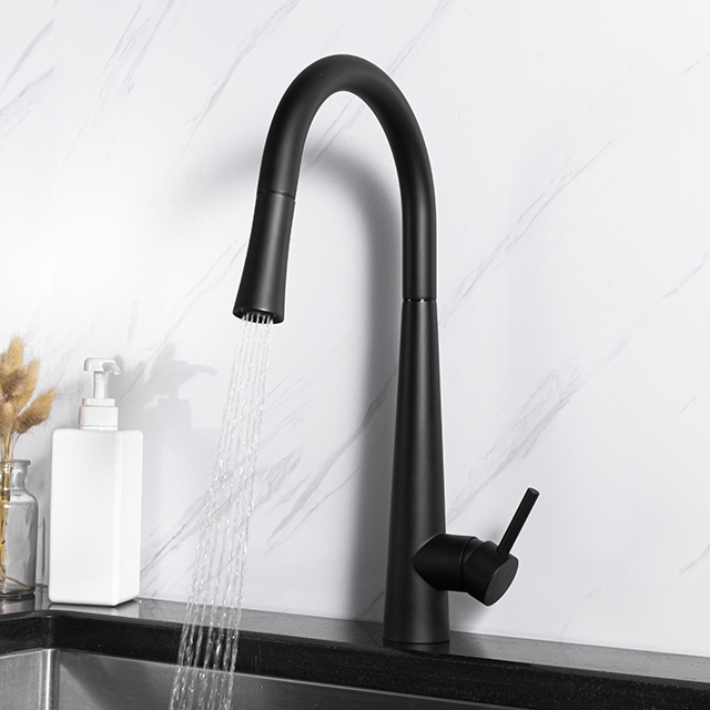 Stainless steel matte black pull out kitchen tap