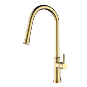 Modern Brush Gold Stainless Steel Pull Out Kitchen Faucet