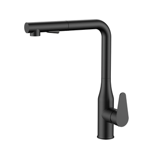 Matte black stainless steel kitchen mixer with pull out spray