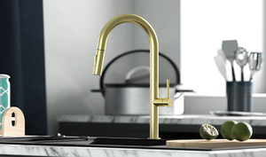 stainless steel pull down kitchen faucet