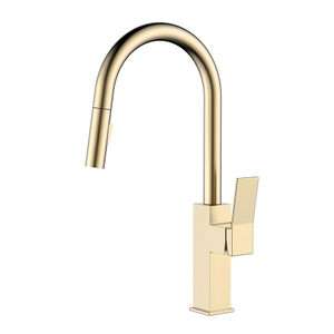 Brushed Gold Stainless Steel Kitchen Tap with Pull Out Spray