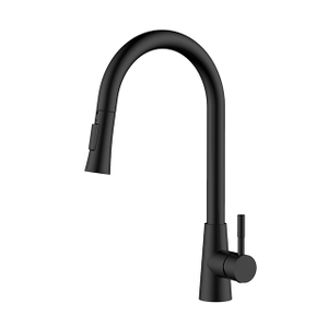Matte Black Stainless Steel Pull Out Kitchen Tap