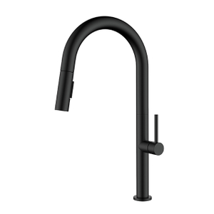 Black Stainless Steel Pull Down Kitchen Faucet